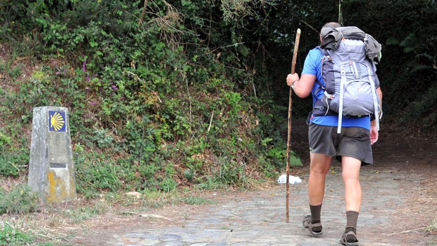 A cátedra institucional resolveu a súa sétima convocatoria de axudas