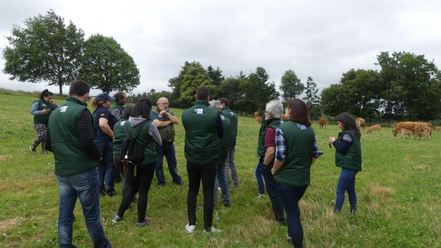 Imaxe de arquivo do equipo da profesora Mosquera mentres traballa nun sistema agroforestal