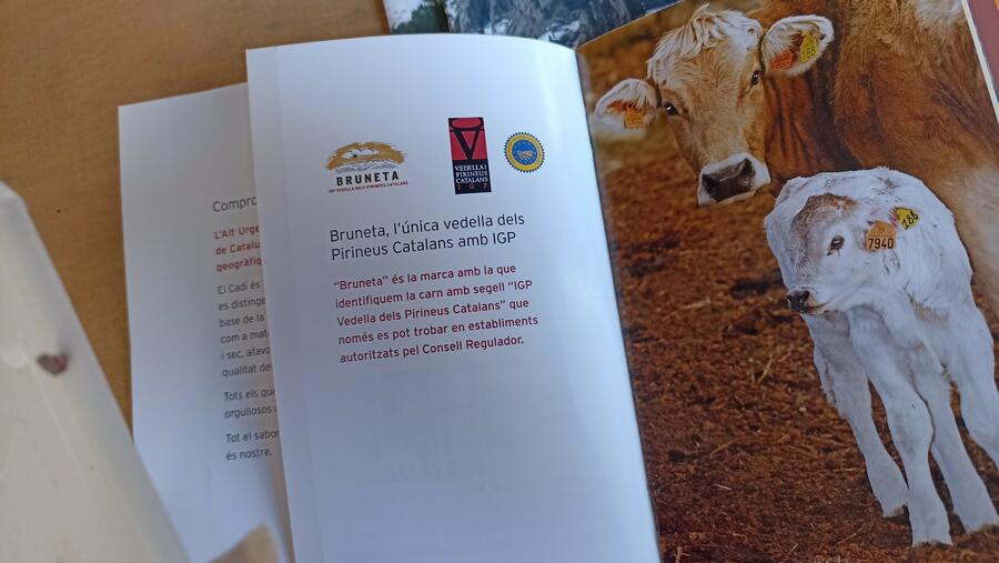 Imaxe dunha publicación de promoción da IX Vedella dos Pirineos