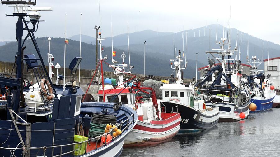 A pesca é un dos sectores analizados no informe. Foto: Santi Alvite