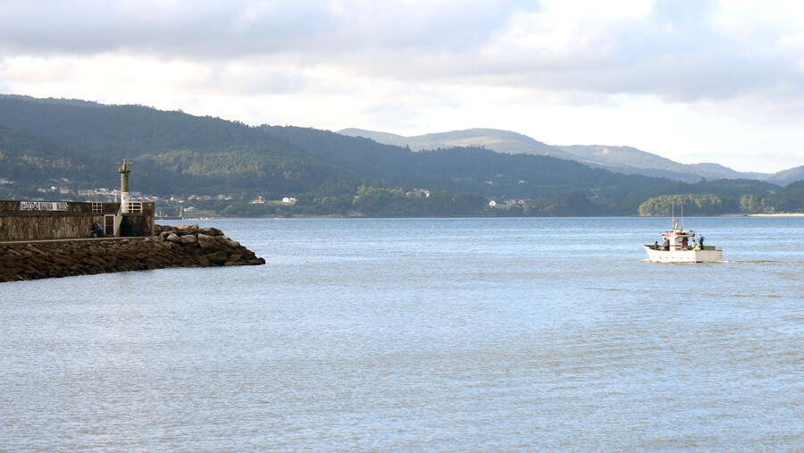 O consorcio ten como obxectivo restaurar os ecosistemas mariños e a biodiversidade. FOTO: Santi Alvite