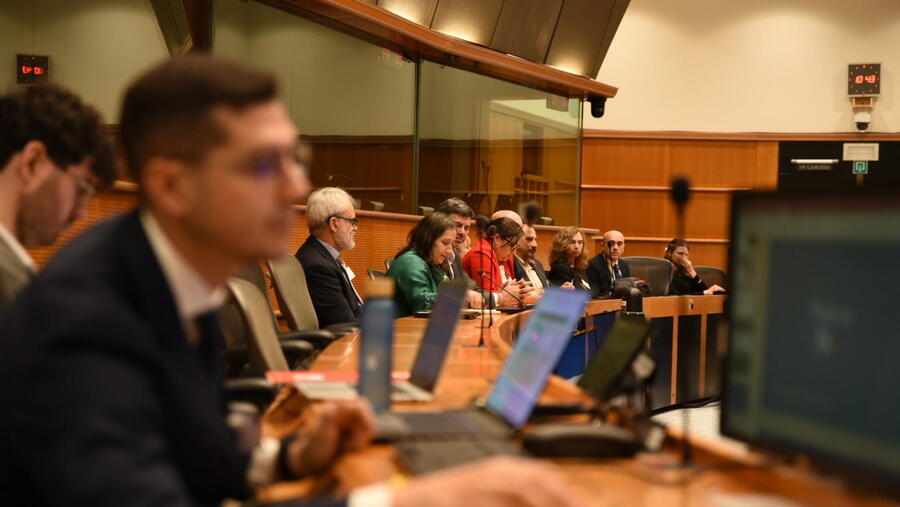 A profesora Mosquera no Parlamento Europeo 