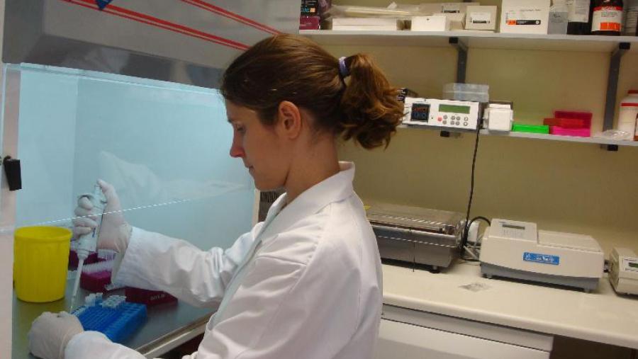 A investigadora Carola Boehme realizou a súa tese de doutoramento sobre esta temática