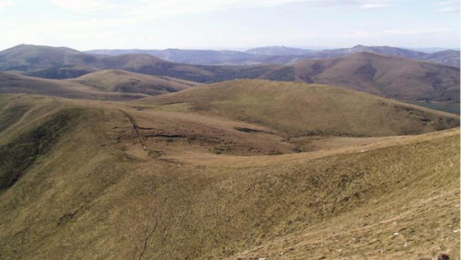 O estudo desenvolveuse na montaña da Serra do Xistral en Lugo