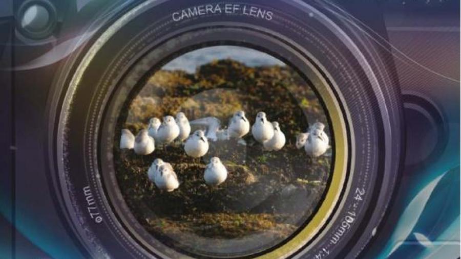 O curso de fotografía da natureza da Fundación USC Deportiva desenvolverase o vindeiro mes