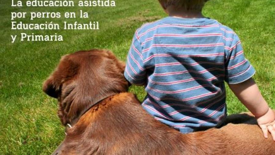 Cartaz do curso Cartaz do curso