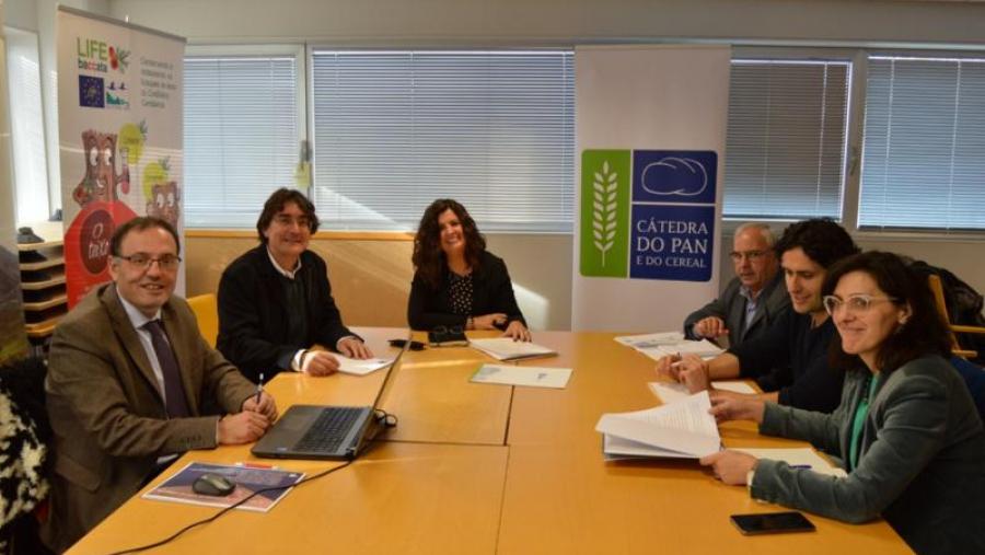 De esquerda a dereita, Feijoo, Pereira, Romero, Dacunha, Almeida e Valcárcel, no edificio Cactus do campus de Lugo