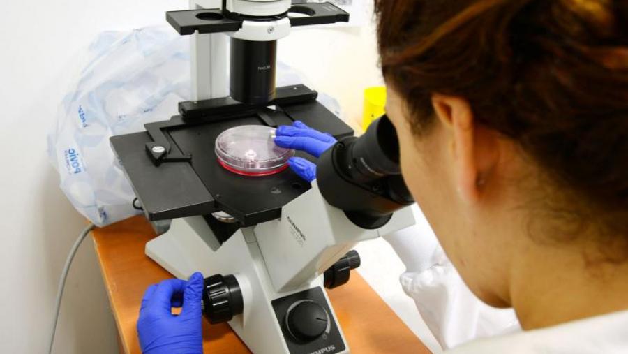 A USC ascende á posición 407 do ránking Global Universities de US News