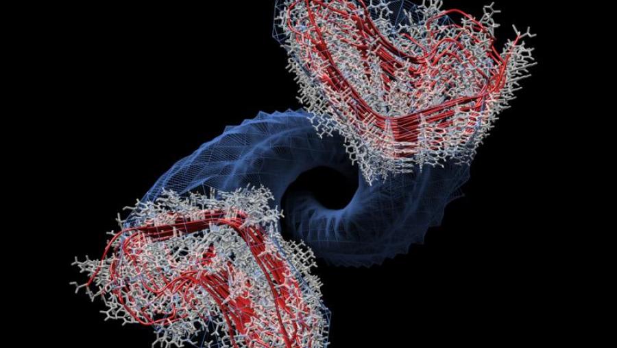 Modelo atómico do prión